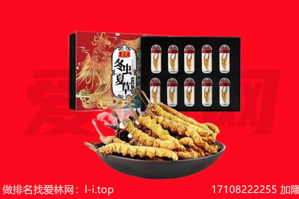 长沙市回收虫草.jpg